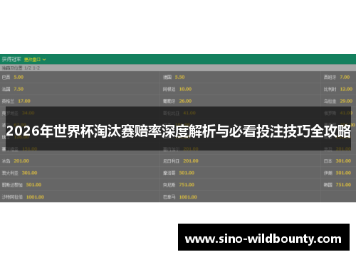 2026年世界杯淘汰赛赔率深度解析与必看投注技巧全攻略